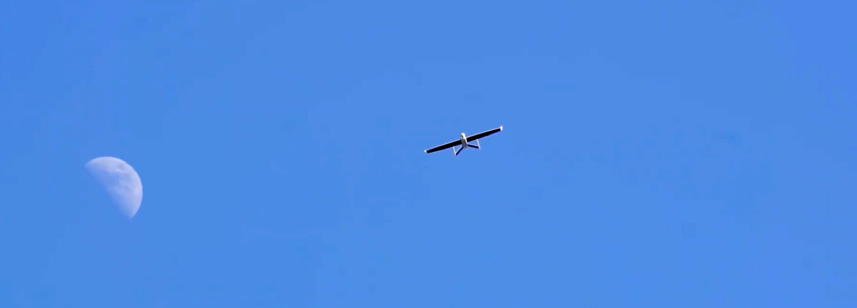 Accipiter flying by the moon